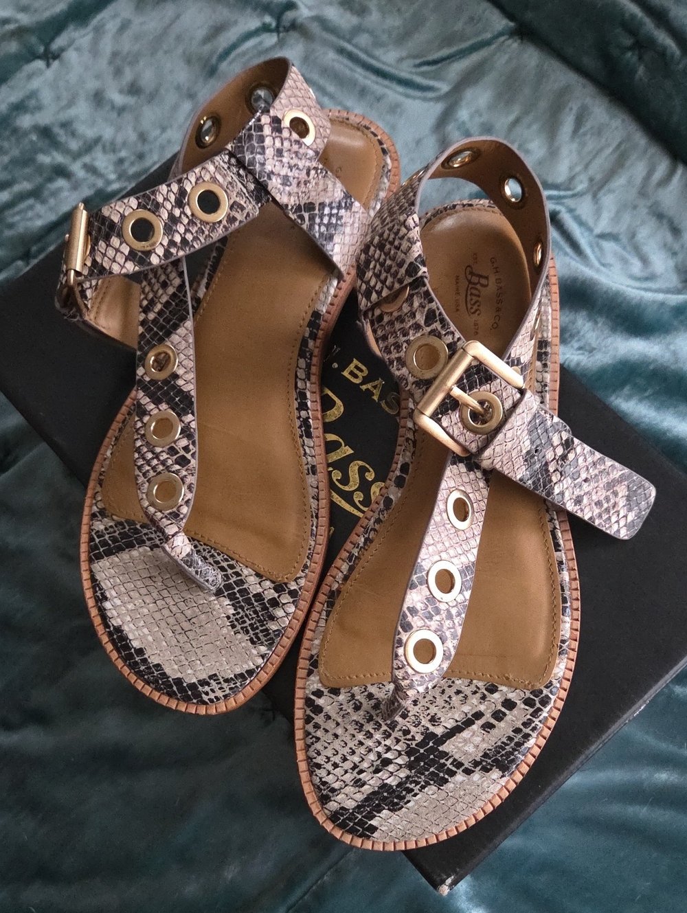 Bass Women's Snake-Print T-Strap Sandals in Beige and Black with Gold Eyelets